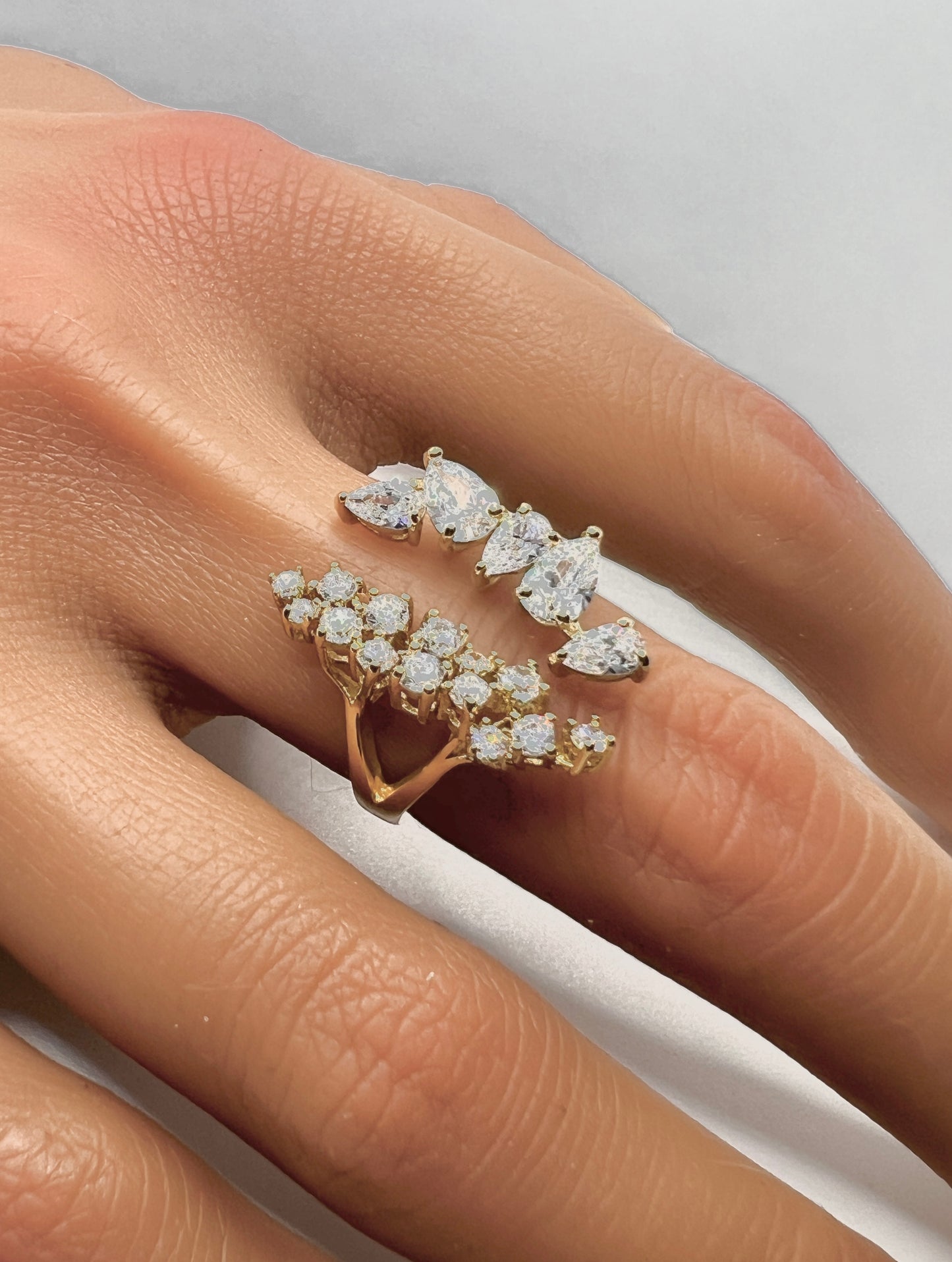 Multi-stone adjustable Ring